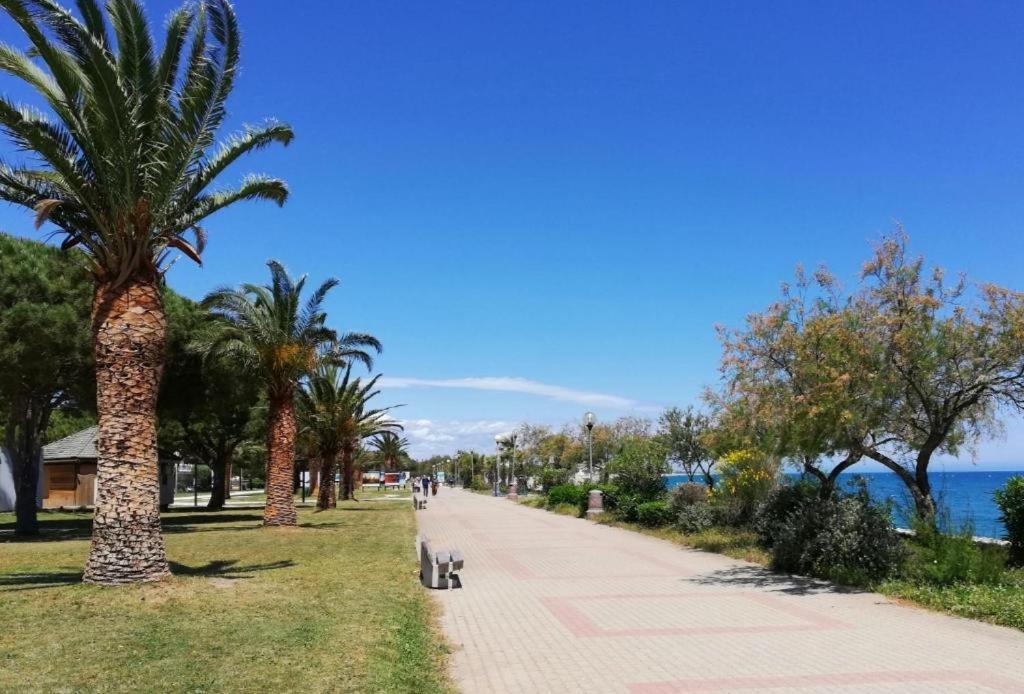 Joli Studio Cabine 4 Personnes A 300 M De La Plage Argeles-sur-Mer Ngoại thất bức ảnh